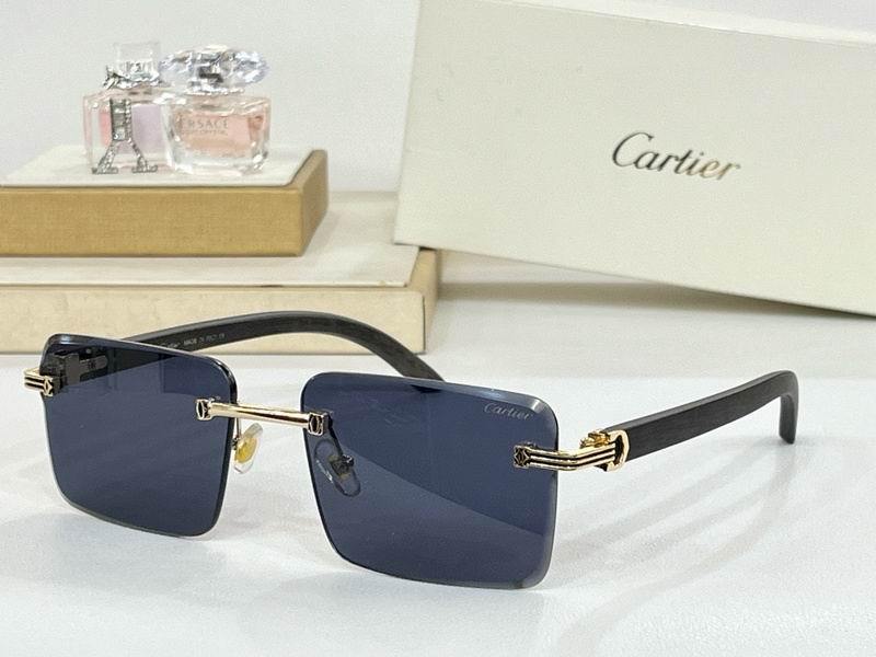 Cartier Sunglasses 782